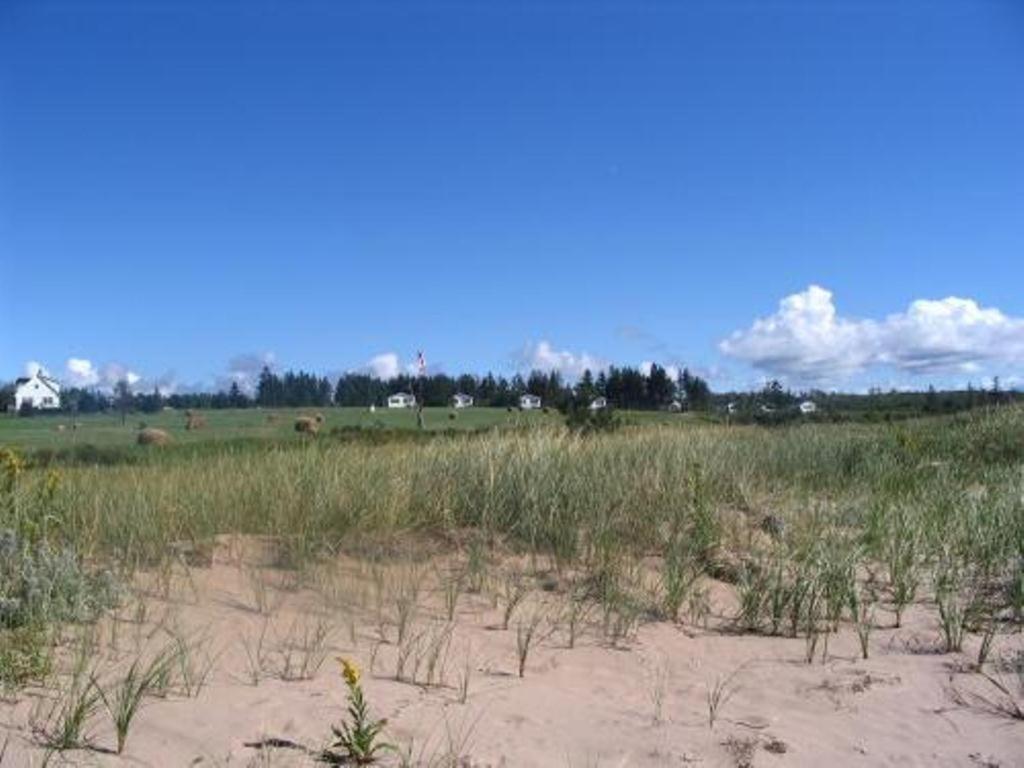 Sea'Scape Cottages Bayfield Екстериор снимка